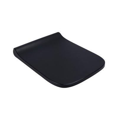 Сидіння для унітаза Qtap (Tern) з мікроліфтом Slim QT99HY2238MB SD00046071 фото