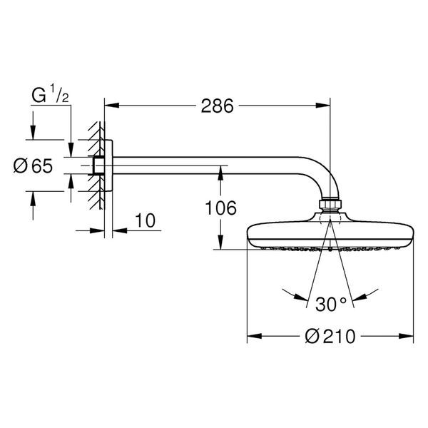 Верхний душ с кронштейном Grohe Tempesta 210 26411000 26411000 фото