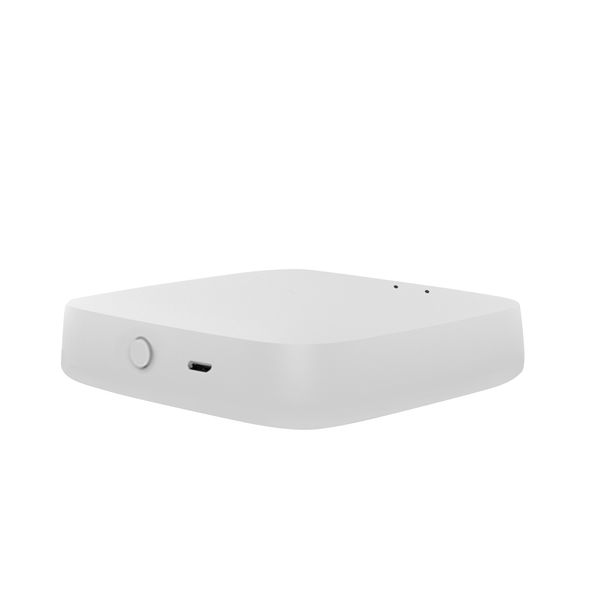 ZigBee Беспроводной интернет контроллер ZW-HUB SD00049578 фото